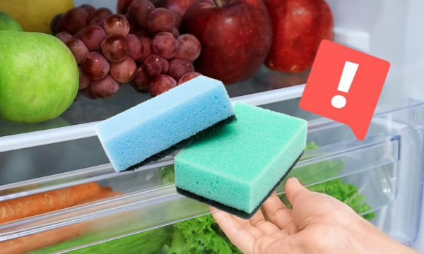 Зачем класть в холодильник посыпанную солью губку: спасение от огромной проблемы — хитрый лайфхак для хозяек